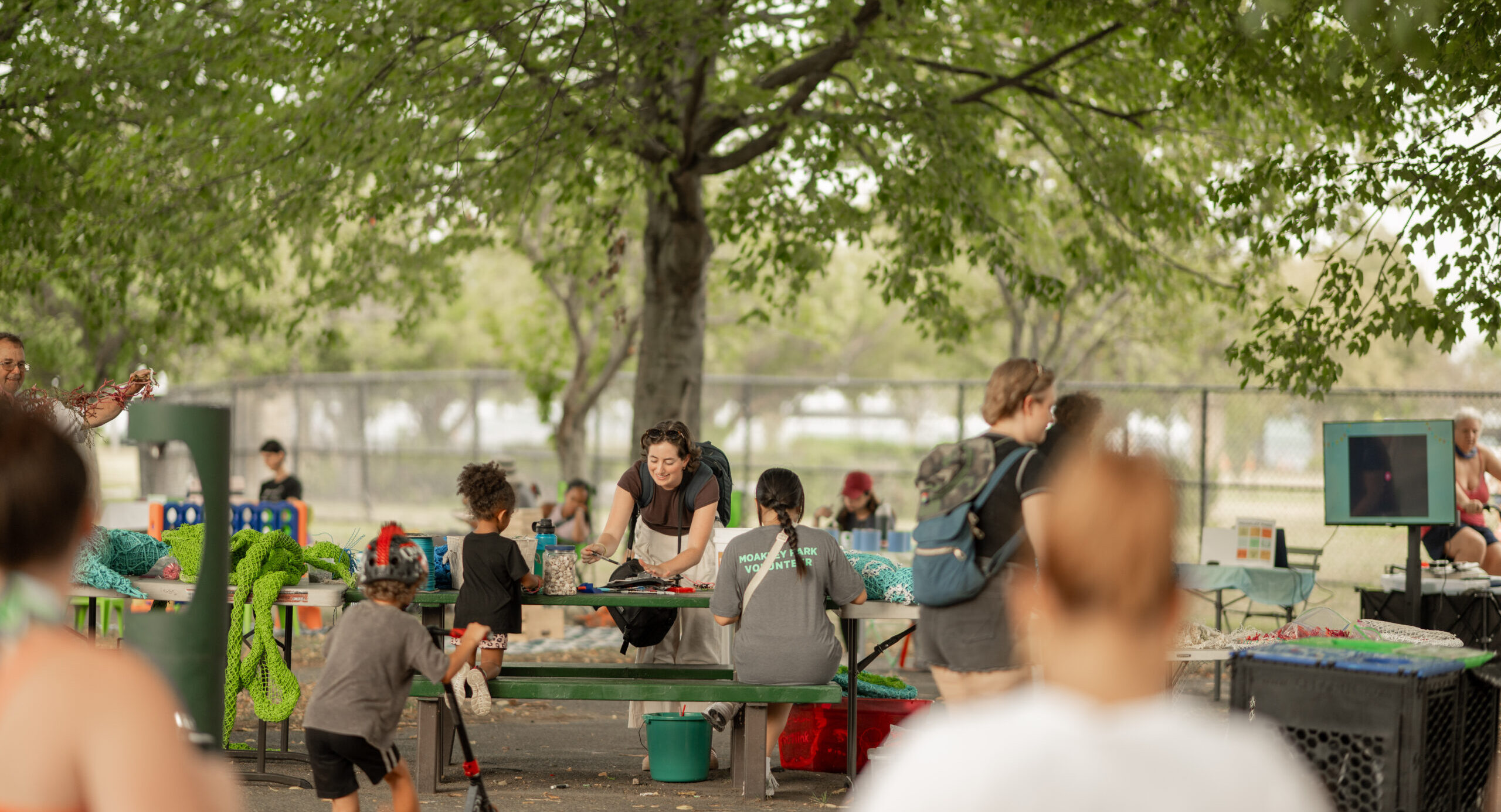 A group of people engaged in various activities under a tree in Moakley Park
